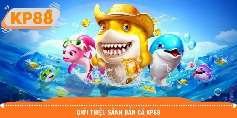 Những nét tổng quan của hệ thống săn cá đẳng cấp