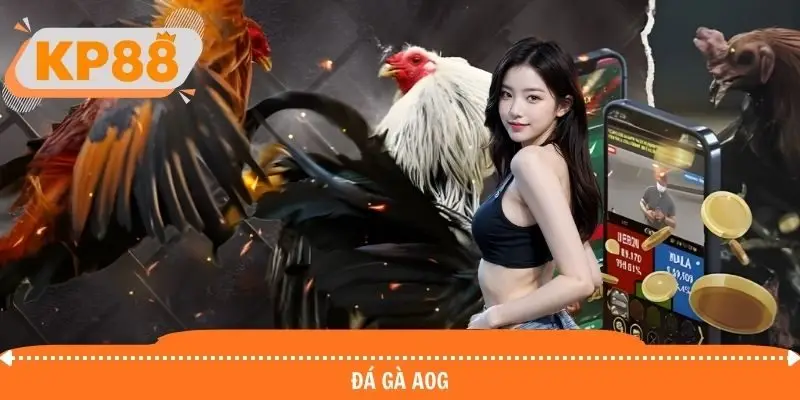 Đá gà AOG