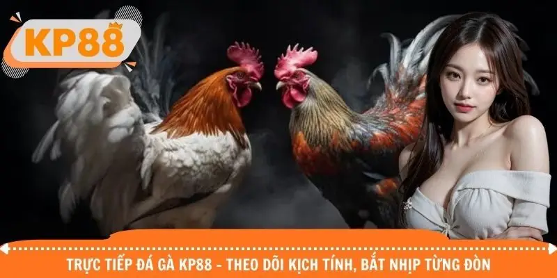 Trực tiếp đá gà KP88